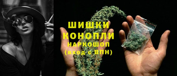 скорость Вяземский