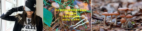 бутират Вязьма