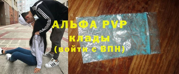 скорость Вяземский