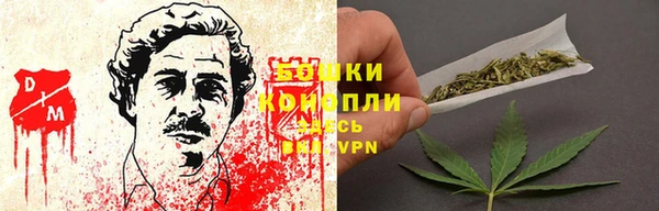 скорость Вяземский