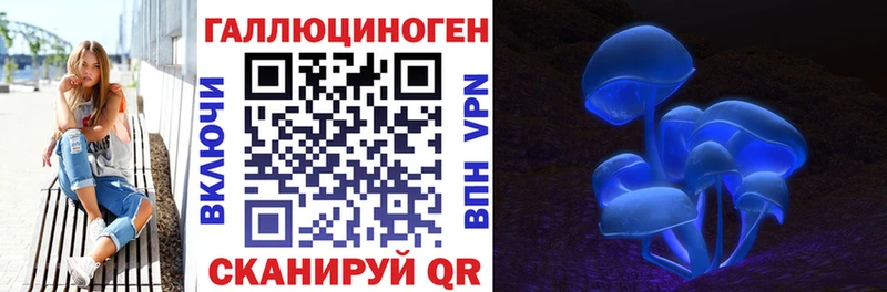 Псилоцибиновые грибы Cubensis  Купить где  Котельнич 