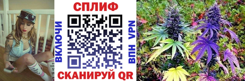 Купить где  Котельнич  Бошки Шишки LSD WEED 